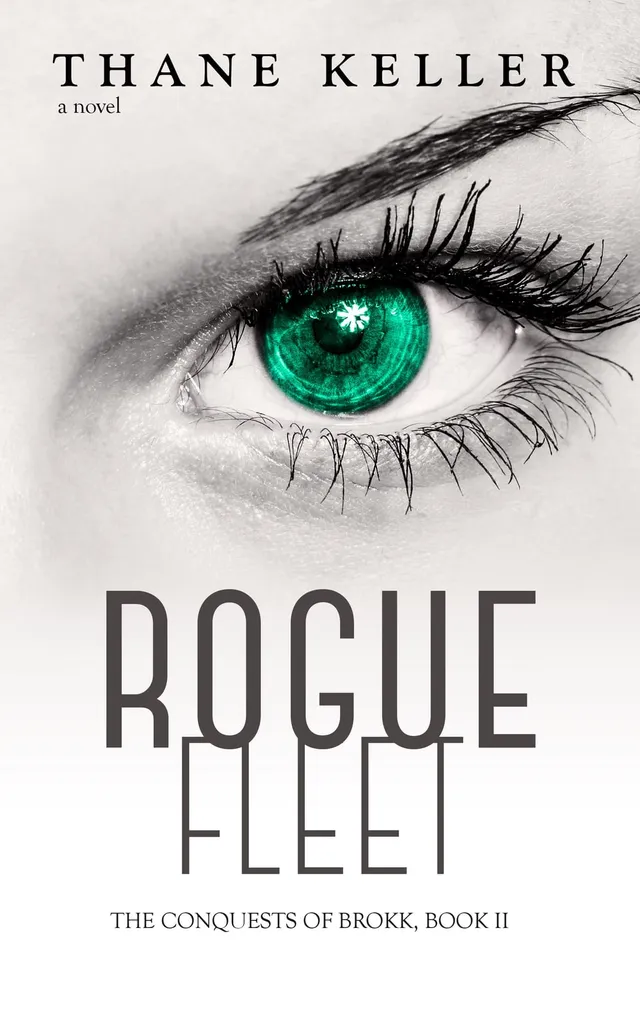 Front cover of Rogue Fleet by Thane Keller
